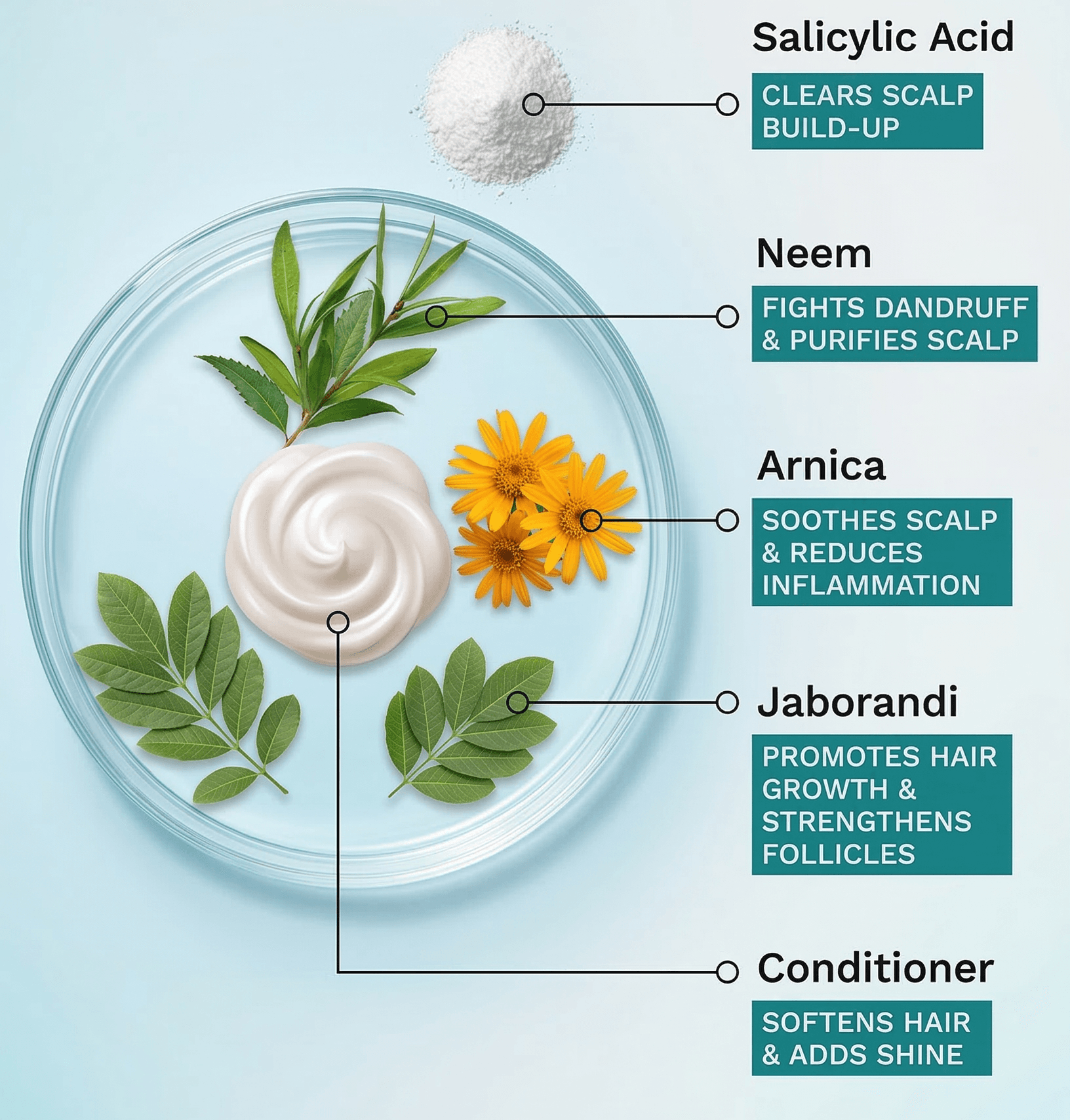 Scalprove Shampoo with Conditioner 3